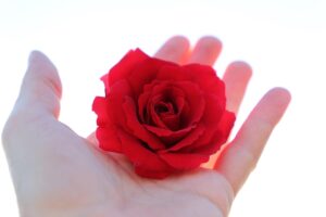 会社を辞められない理由とその相談方法は？