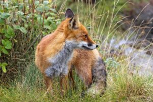 新卒やめたい理由とその対策は？