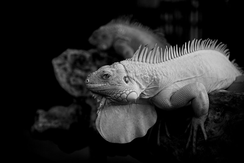 モラハラを受けた場合の退職に関する相談はどこにすれば良い？