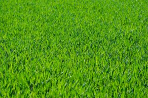 転職が決まったら退職はいつするべき？