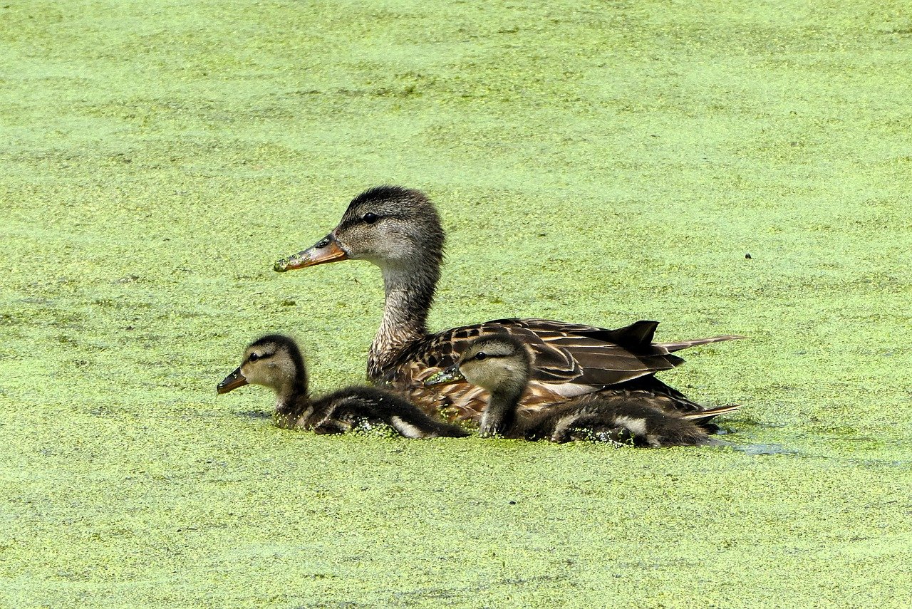 仕事と育児の両立が辛くて辞めたいと感じた時の対処法は？