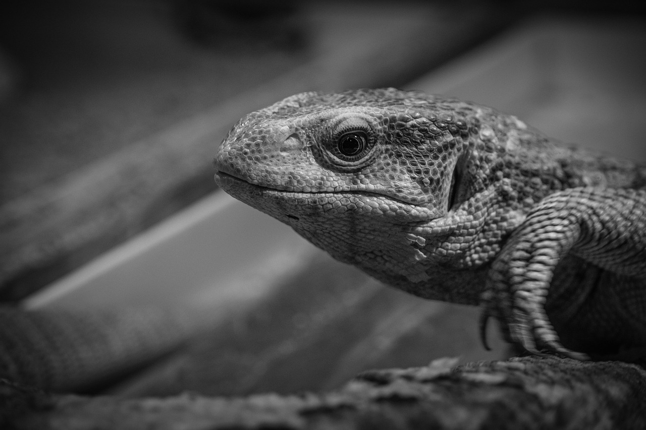 会社を辞めたいと感じるモヤモヤを解消する方法は？