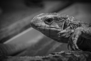 会社を辞めたい時に相談できる窓口はどこ？