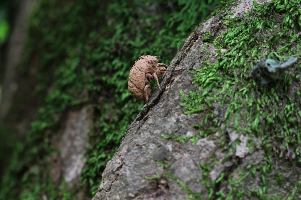 パワハラによる退職をした後悔を解消する方法は？