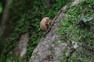 パワハラによる退職をした後悔を解消する方法は？