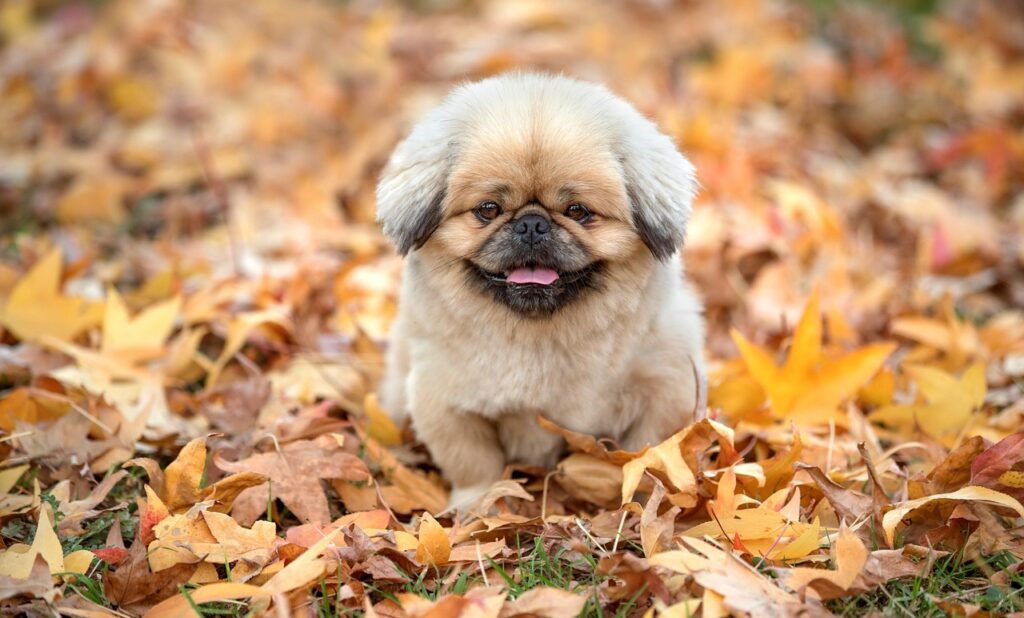 共働きの限界を感じたときの退職はどう考えるべき？