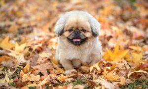 退職のタイミングを見極めるためのポイントは？