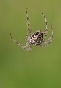 退職代行を利用する前に契約内容を確認すべきポイントは？